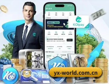 亚新 APP 深度功能